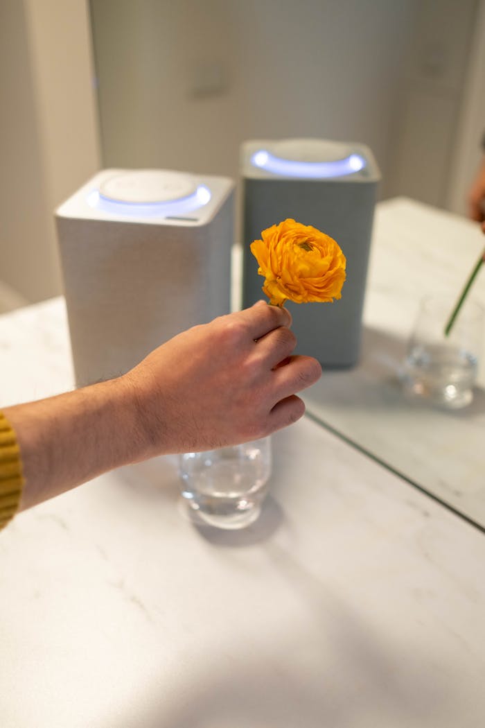 hero-gallery-04 A hand holds a yellow flower in front of a smart speaker and mirror reflection.